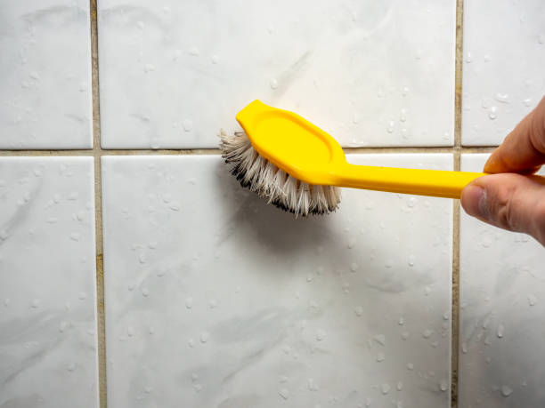 Best Certified Mold Removal  in Enterprise, NV